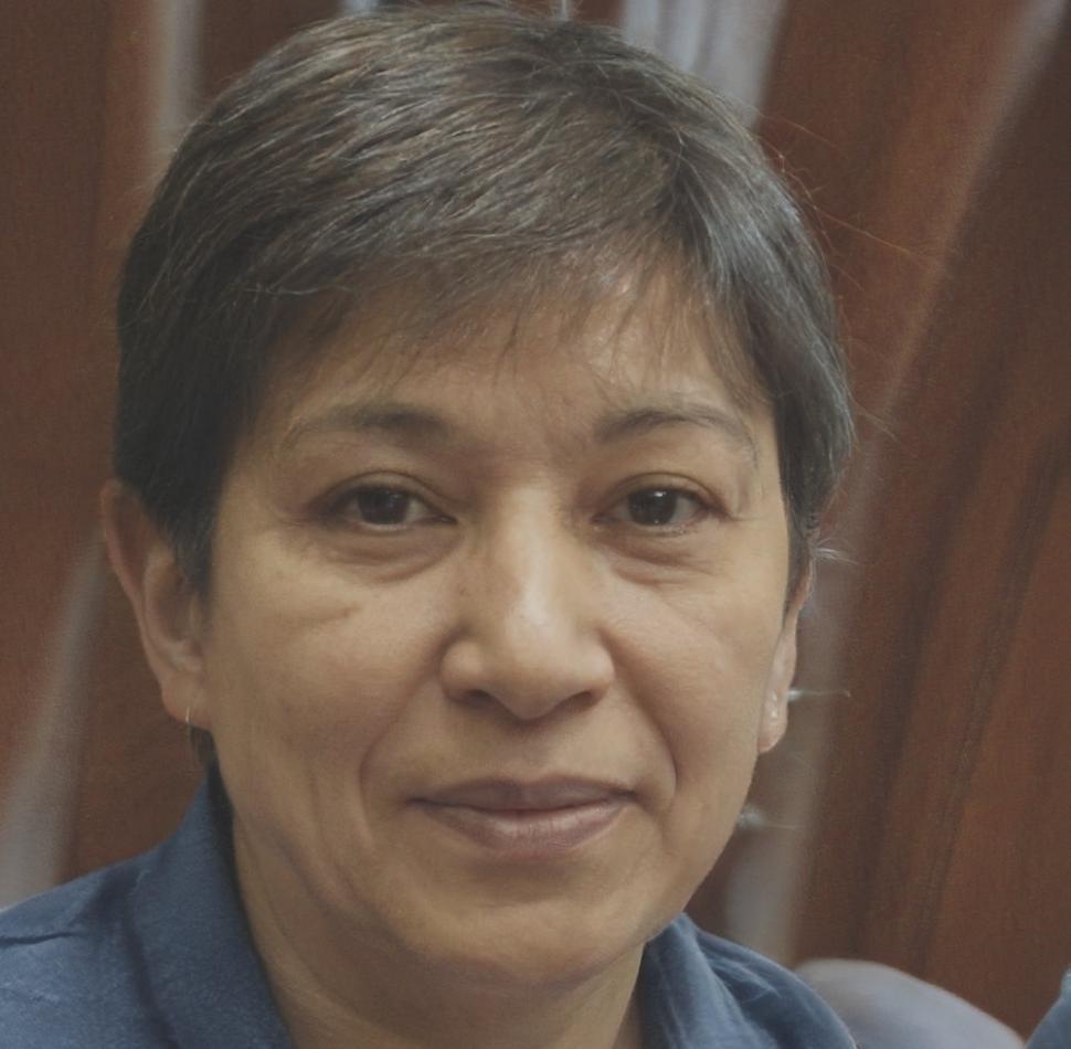 Facilitadora de programa empresarial